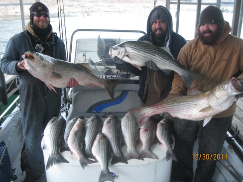 Nice Striped Bass